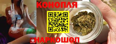 гидропоника Краснокаменск