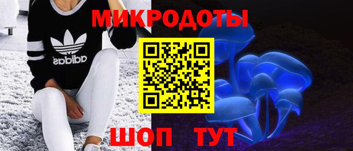 Псилоцибиновые грибы мицелий  Вход с VPN  Псилоцибиновые грибы мицелий  Кизляр 