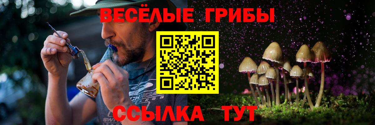 Псилоцибиновые грибы мицелий Кизляр